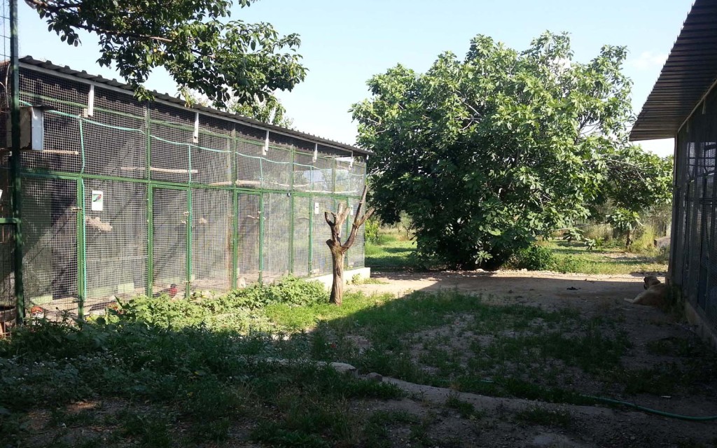 20150531_165935
