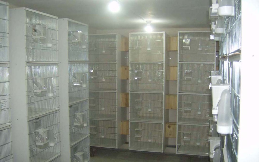 HPIM3380