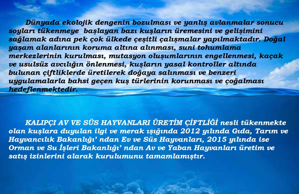 yazı
